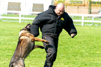Action from the 58th National Police Dog Trials 2018 - 21st Apri