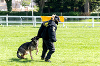 Action from the 58th National Police Dog Championships 2018 - 22