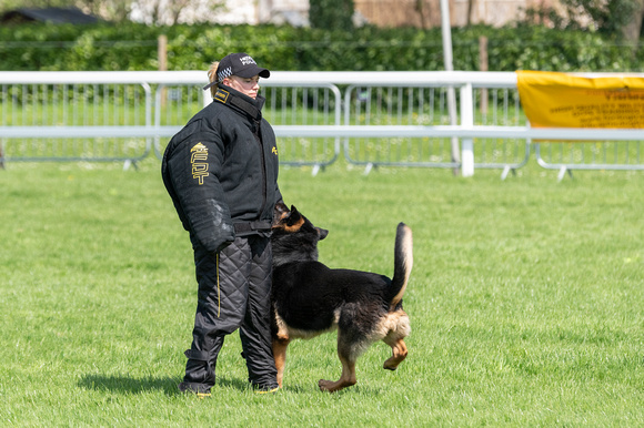 Action from the 58th National Police Dog Trials 2018